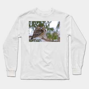 Sleeping Northern Saw Whet Owl - Ottawa, Ontario Long Sleeve T-Shirt